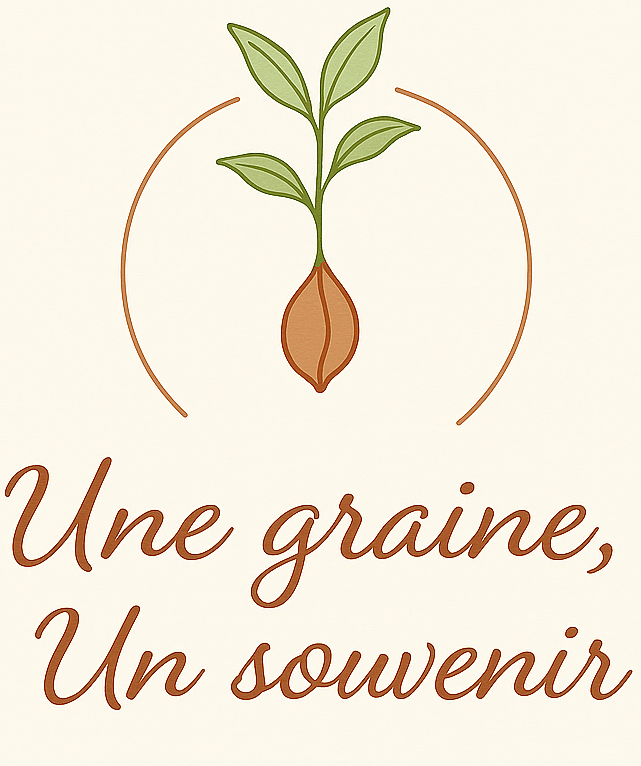 Une graine, Un souvenir